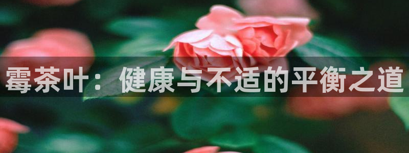龙八国际官方娱乐网站com