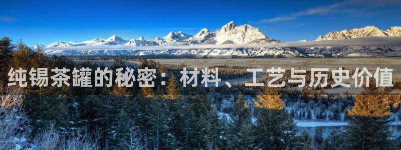 龙八国际服官网入口地址