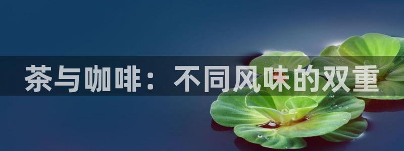 不会玩龙八国际