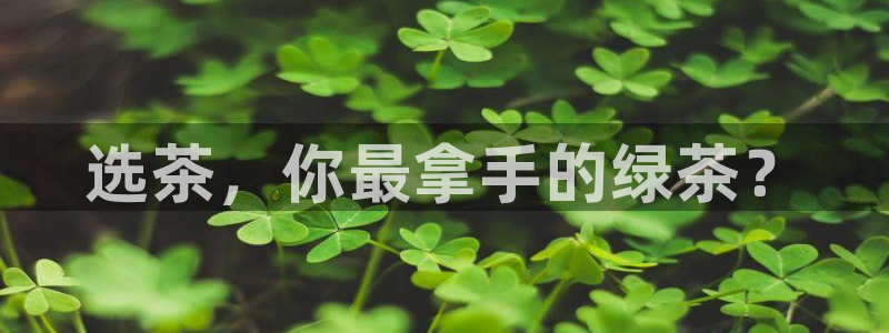 龙八国际娯乐城软件下载