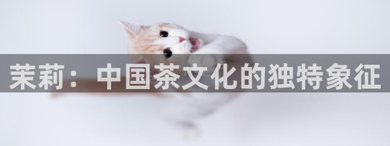 龙八国际是个什么游戏