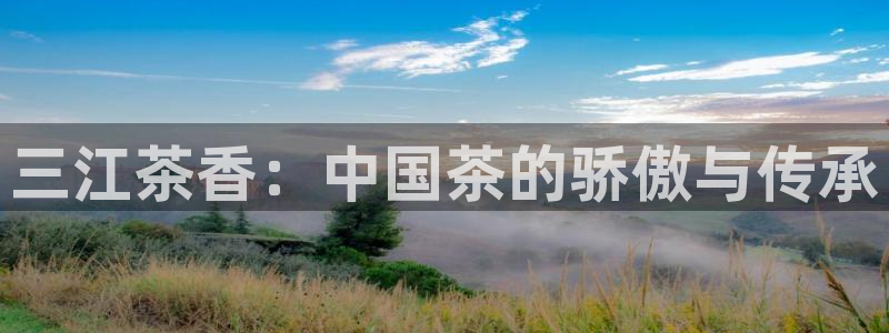 龙八国际apPP