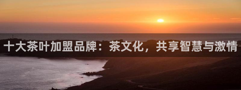 龙八国际平台安卓