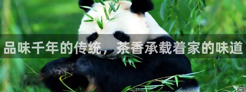 龙八国际游戏下载