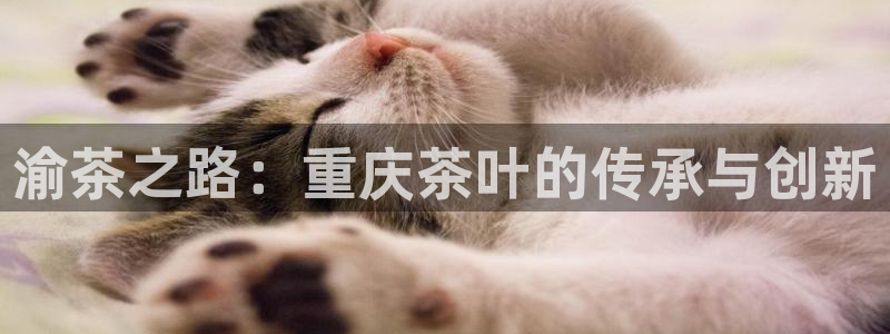 龙八国际娱乐pt老虎机