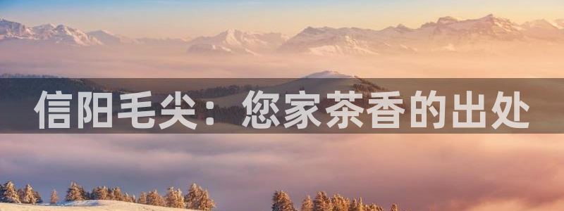 龙八国际网址