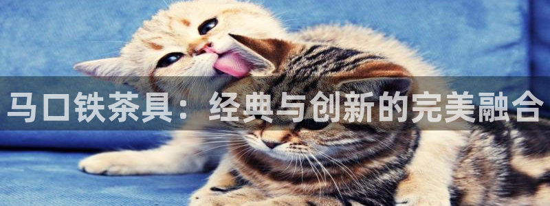 龙八国际app客户端下载手机端