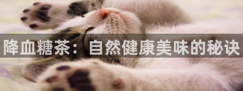 龙八国际手机在线登录