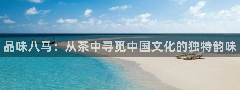 龙八国际app
