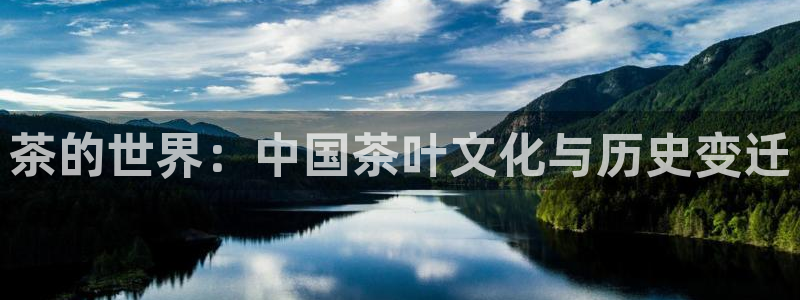 龙八国际娱乐群