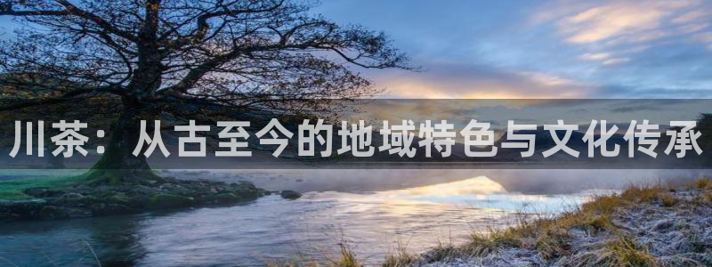 龙八国际官网入口