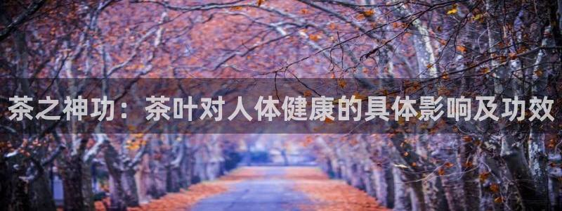 龙八国际官网手机版登陆