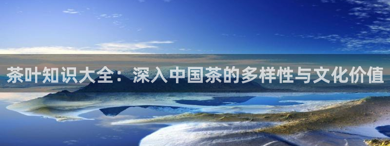 龙八国际改名