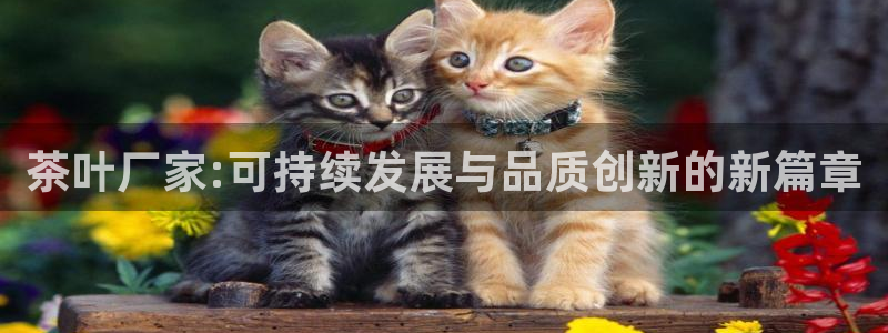 项目名称龙八国际