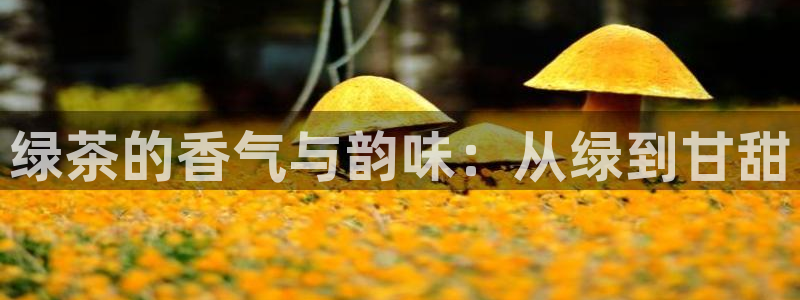 龙八国际官方登录网址