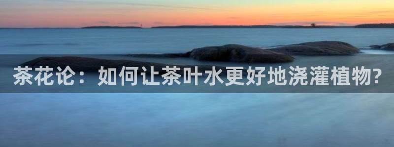 龙八国际贸易有限公司