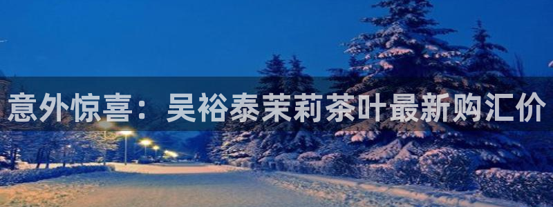 龙八国际 long5658.com