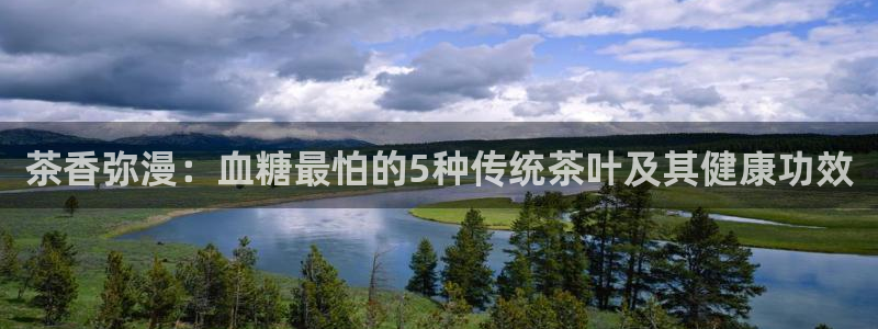 龙八国际城