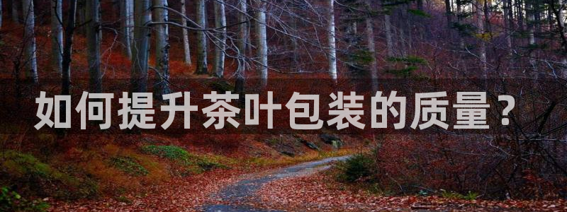 龙八国际技巧