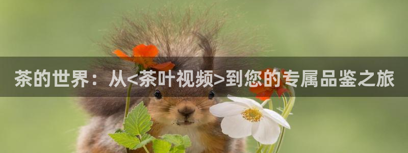 龙八国际官网