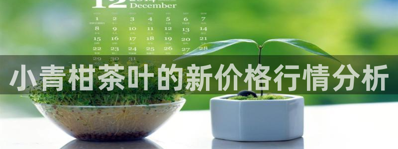 龙八国际 官网