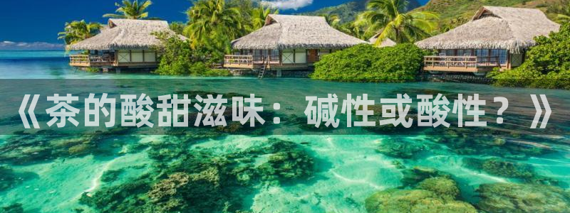 下载龙八国际app
