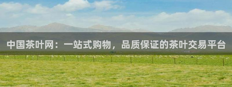 龙八国际游乐城