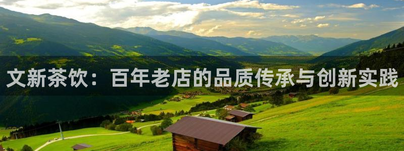 龙八国际城网址