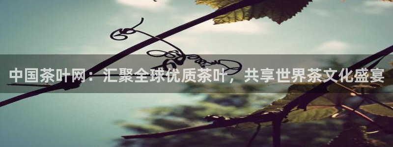 龙八国际电话