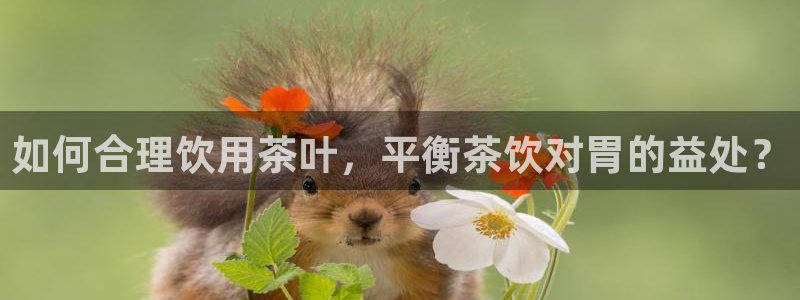 龙八国际服官网下载