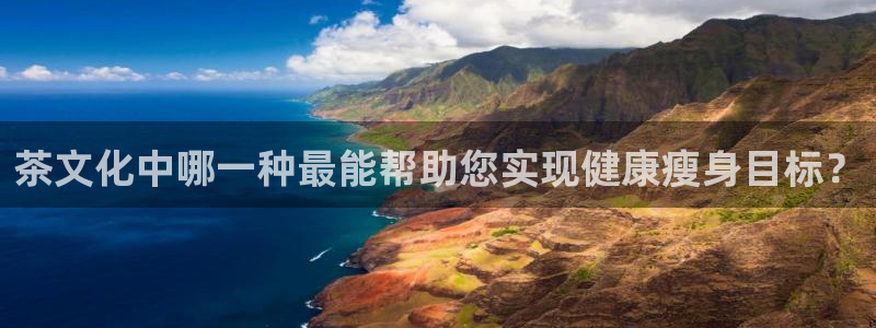 龙八国际优惠券