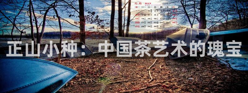 龙八国际p