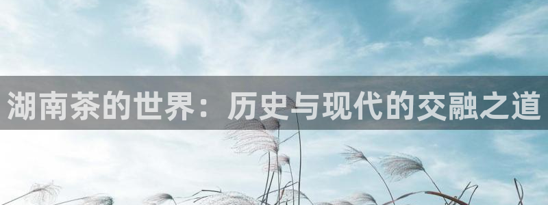龙八国际娱乐网页多少