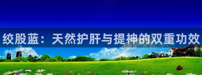龙八国际安全