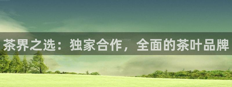 龙八国际城