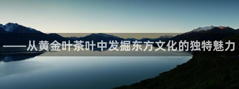 菲律宾龙八国际杀猪
