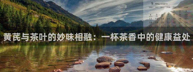 搜索 龙八国际