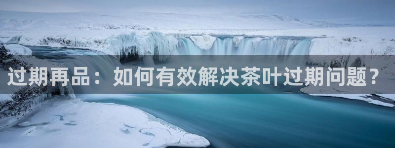 龙八国际新版