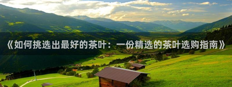 龙八国际娱乐官网手机