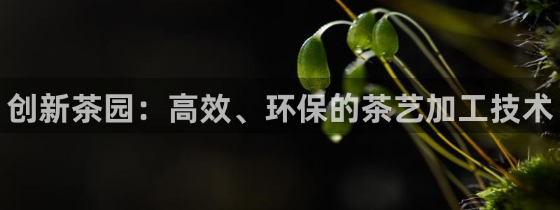 龙八国际代理登陆