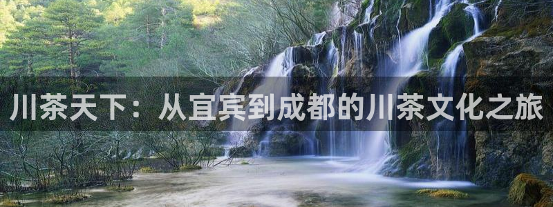 龙八国际黑不黑