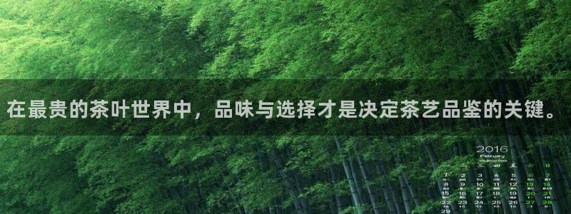 龙八国际老虎机