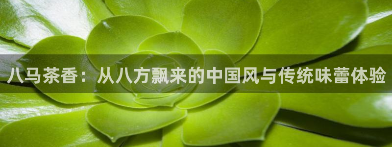 龙八国际靠谱吗