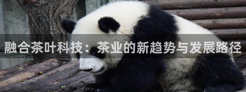 龙八国际网页