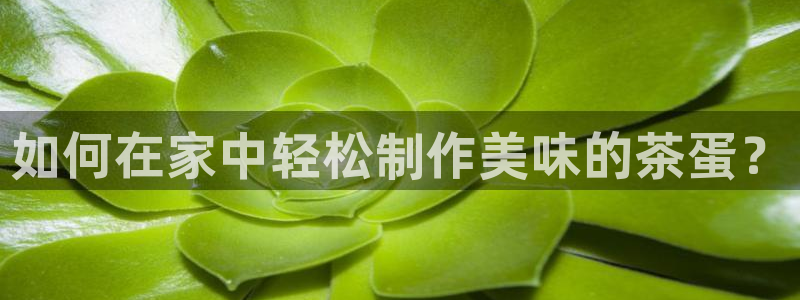 龙八国际手机客户端下载app