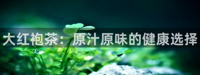 龙八国际不支持苹果手机