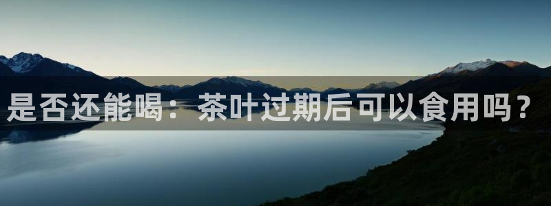 龙八国际服官网入口