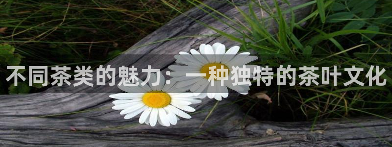 龙八国际娱手机