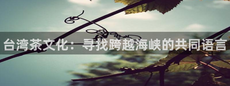 龙八国际官网网址