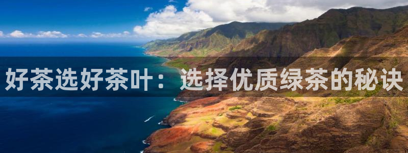 龙八国际网页登录